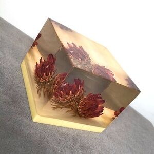 VINTAGE NATURE ART | Nature Resin Art Tea Flower Buds From Republic South Africa
